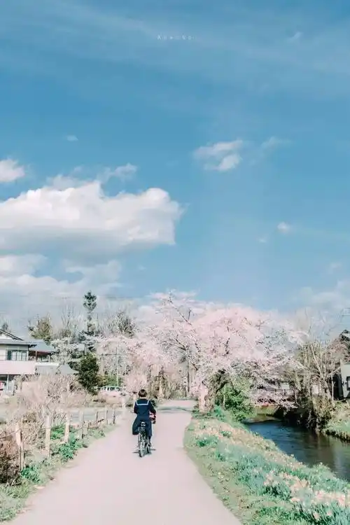 100张夏日限定清新护眼手机壁纸