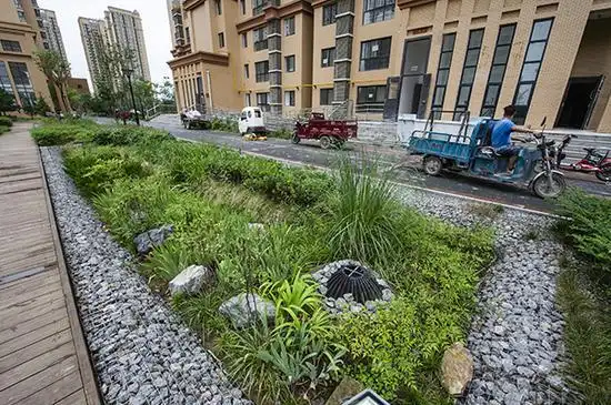 天福和园小区的雨水花园.