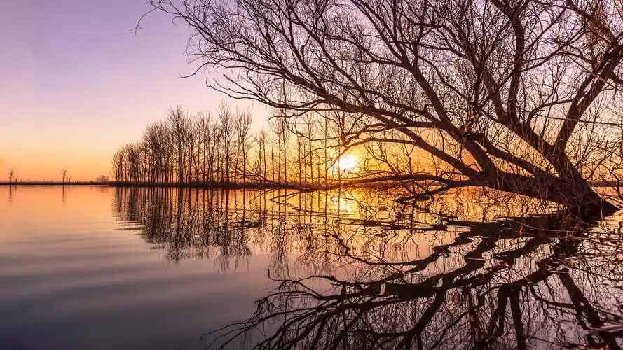 其它 神州唯美摄影视觉群11期摄影作品展 写美篇摄影师眼里的真实就是