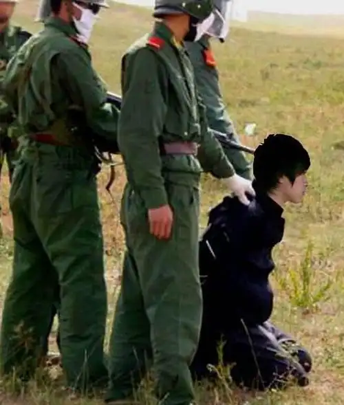 为啥死刑犯在被执行枪决的时候要跪着如果不配合还会被执行吗