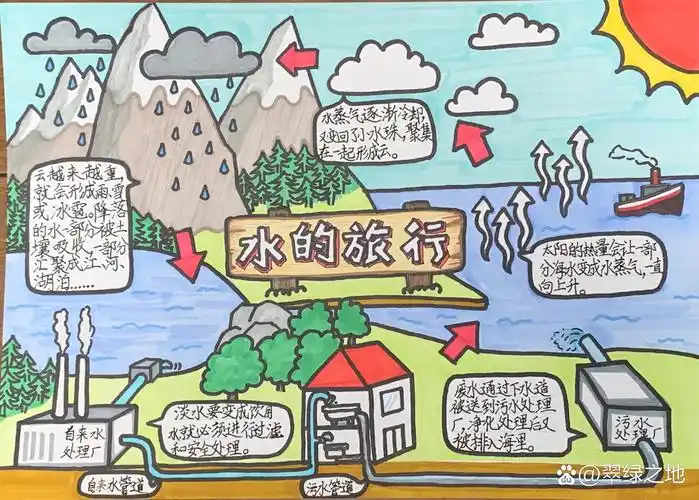 水循环-三年级科学小报