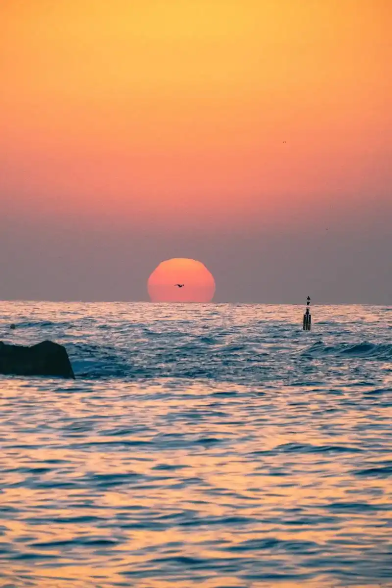 拍到了太阳从海平面升起来的那一刻#温柔的照片配 - 抖音