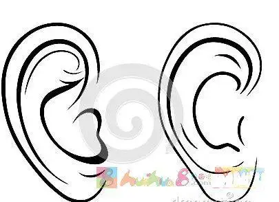 耳朵怎么画简笔画教程