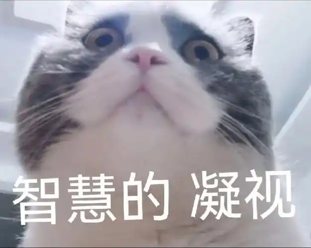 分享一下我家猫的沙雕制杖表情包