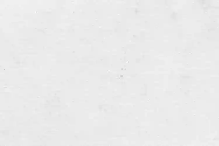 黑白粗画布肌理纹理素材blackandwhitecanvastextures