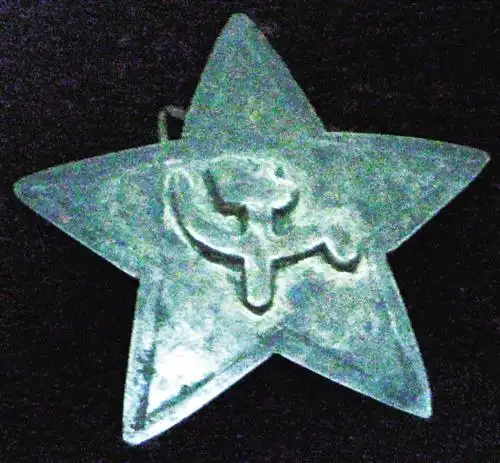 一枚珍贵的党徽