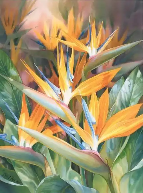 水彩|一组写实水彩花卉作品