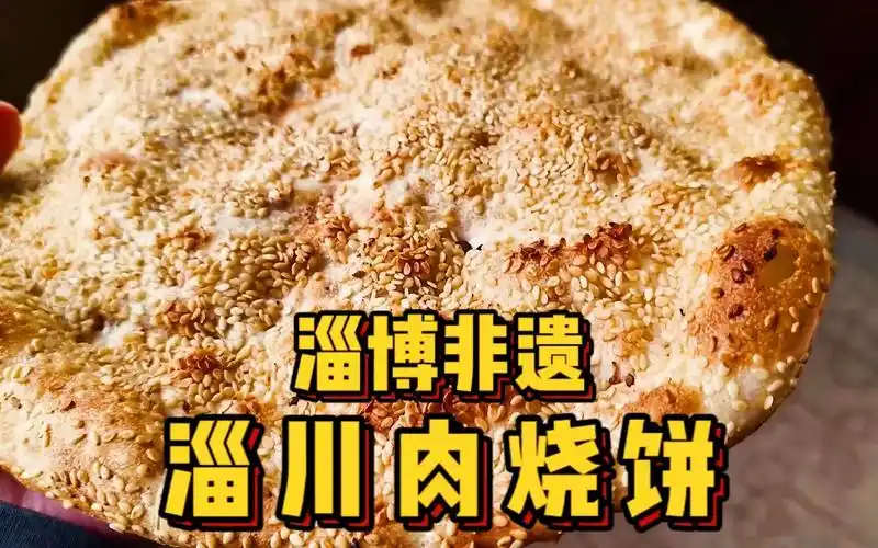 来淄博一定要尝尝上过"舌尖"的淄川肉烧饼啊,6块超大一个,外边撒满了