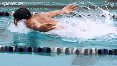 游泳技巧 |  掌握蝶泳的游进起伏节奏,不再挣扎