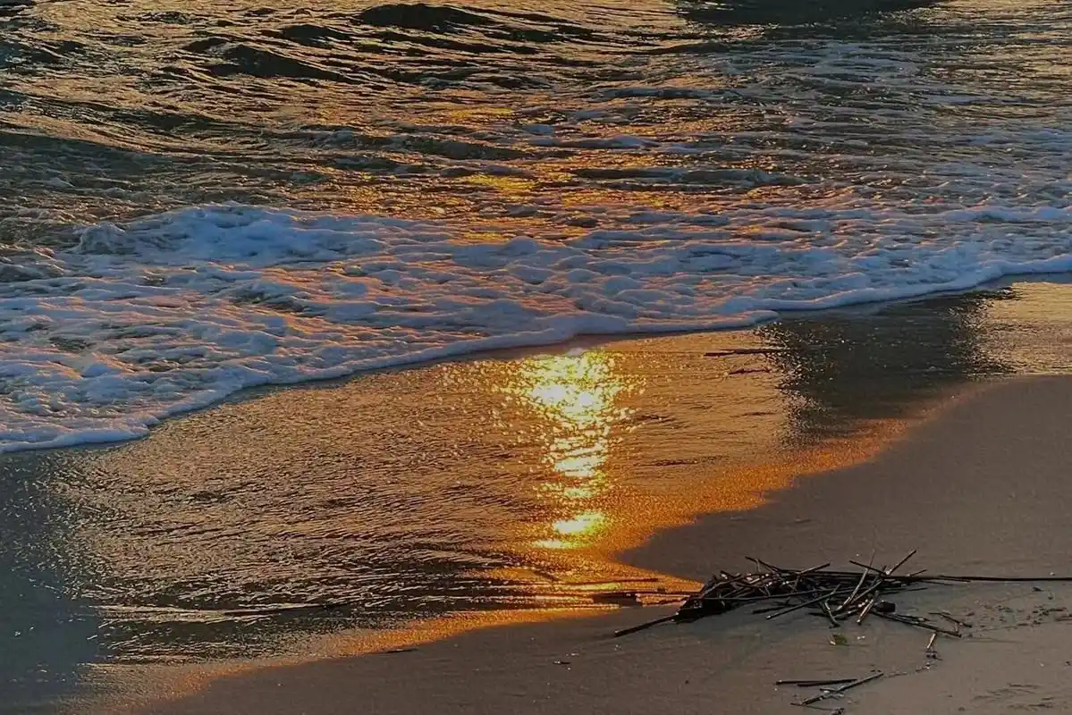 分享二十张厦门的照片 - 抖音