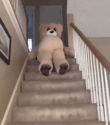 双人舞其中一只还尴尬跳错留下另一只自嗨虽然舞步笨笨的但是可可爱爱