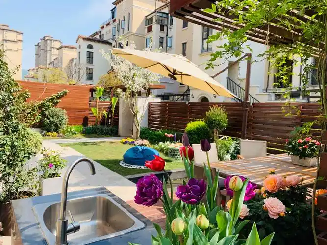 小院养成记—"低维护"花园