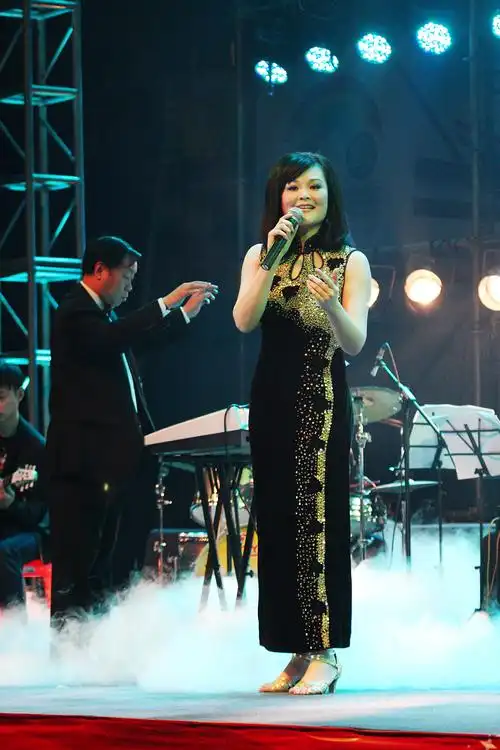 邓丽君经典金曲演唱会