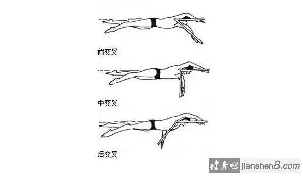 自由泳前交叉,自由游手臂动作教学