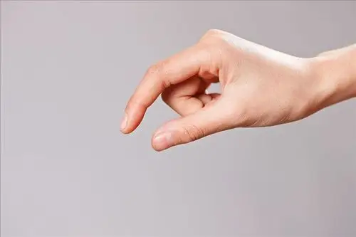 一只手图片_全景网