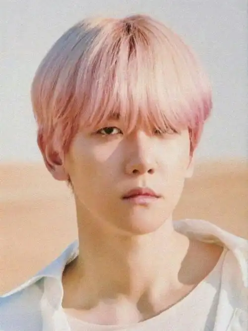 边伯贤##吴世勋