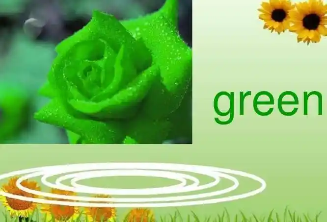 绿色的英文绿色的英文绿色英文