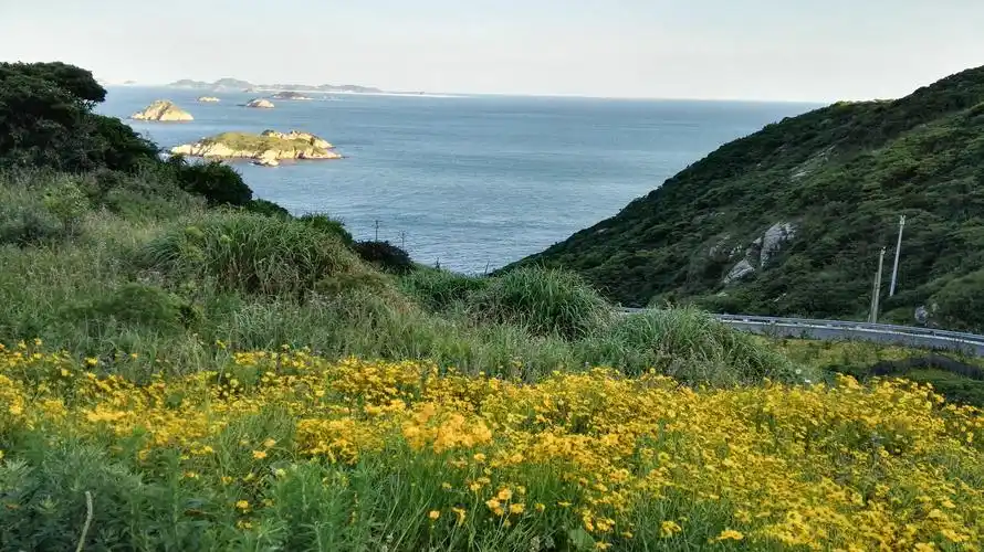 泗礁花鸟岛美的不像画