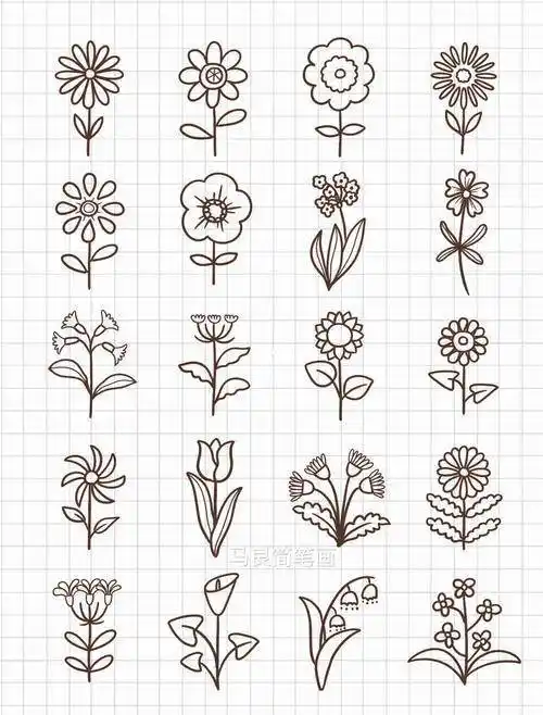 花草简笔画 花草简笔画大全带颜色