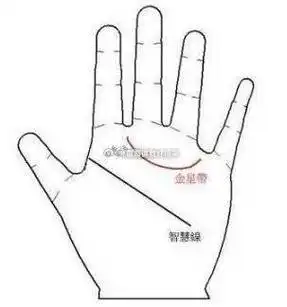 金星带金星带纹是直线吗男人掌纹金星带图解金星带纹是弯的还是直的