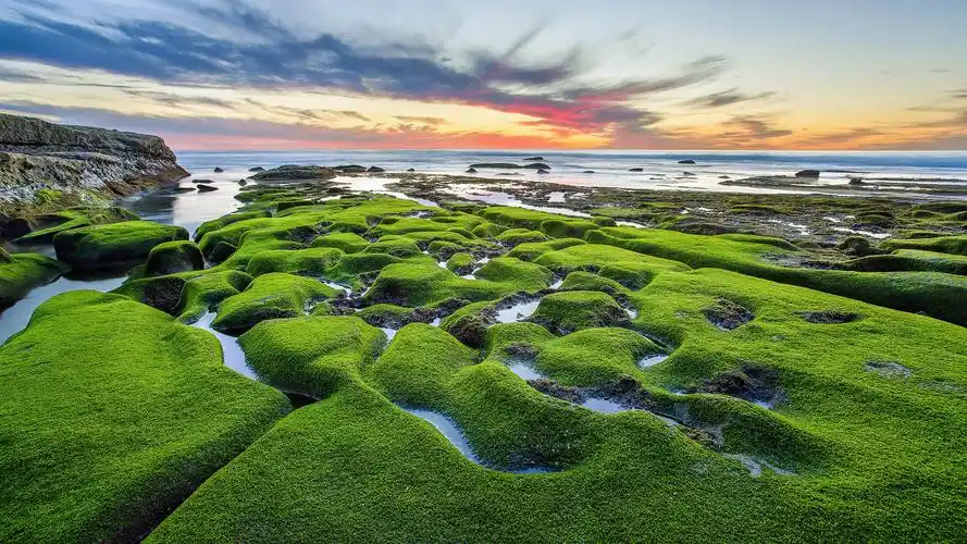 绝美护眼风景高清桌面壁纸