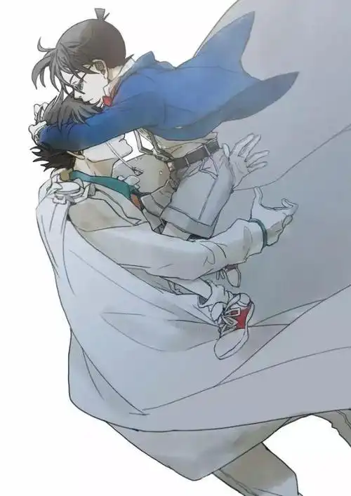 柯南与怪盗基德壁纸留言你所想要的壁纸吧