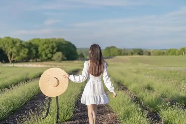 美女摄影师私人薰衣草花田