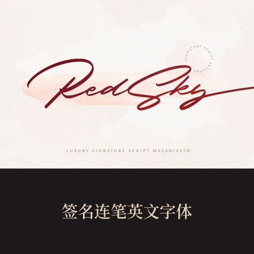 f09-签名连笔英文字体平面设计标志logo字体素材