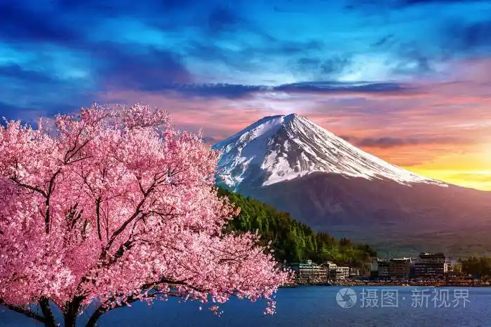 富士山和樱花在春天日本