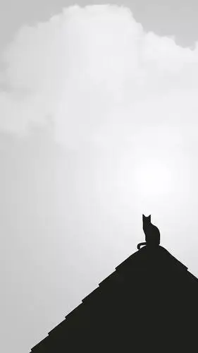 黑白风格的壁纸,冷的很高级