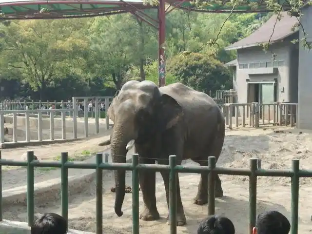 值得一去的南京红山动物园