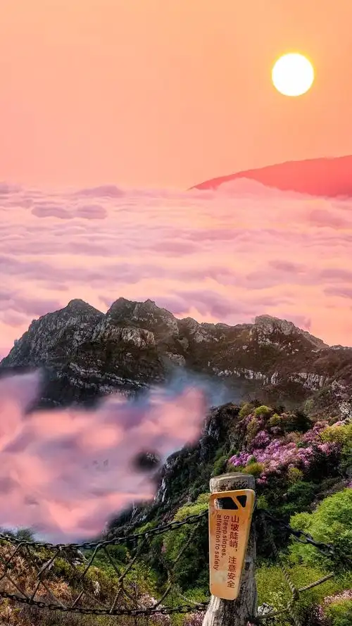 要去看一次的黄山日出,太美了#大自然 #黄山日出#治愈心情#最美的景色