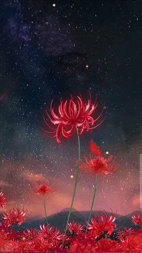 古风 血色彼岸花 倩女幽魂 狐妖小红娘