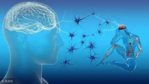 心理测试 | 你大脑的反应力有多快?