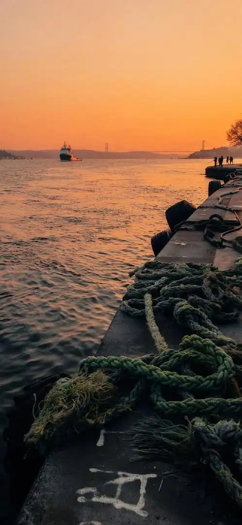 潮流壁纸精选20210222