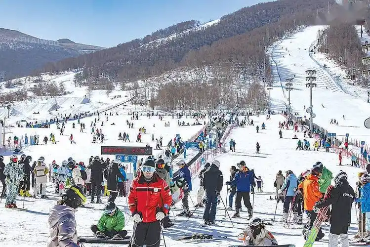 到崇礼,滑雪过大年_游客_表演_小镇