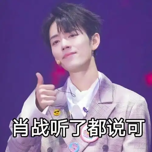 肖战 表情包