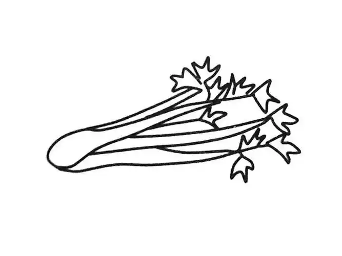 芹菜简笔画图片