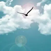 成熟男人微信头像风景励志【点击鼠标右键下载】