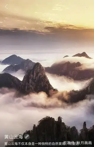 640_1004竖版 竖屏