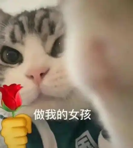 做我的女孩(猫猫表情包)_女孩_猫猫表情