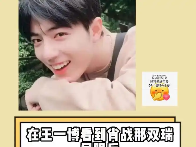 【博肖推文】王一博:离婚吗,财产都给你 肖战:离.唉你怎么失忆变成狗