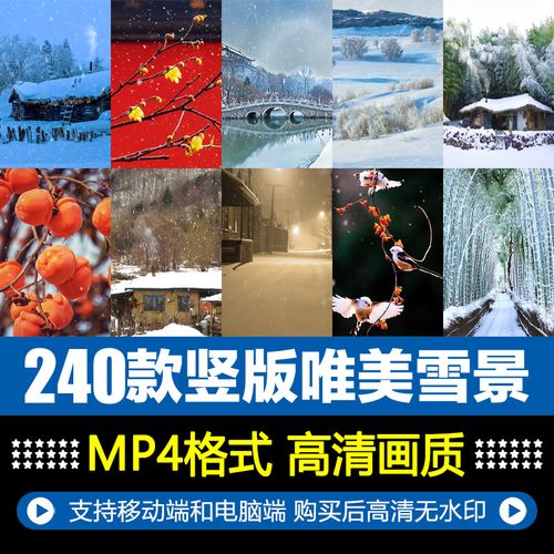 竖屏唯美下雪雪花美景冬季自然风景抖音直播间背景治愈短视频素材