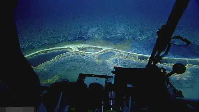 墨西哥湾海底"死亡之池"生物进入必死无疑|盐卤|墨西哥湾|海底_新浪