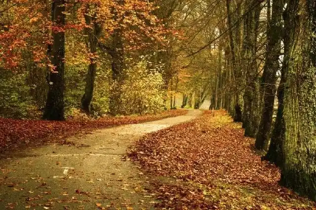 醉秋,触动心灵的美图,能让心安静,太美了!