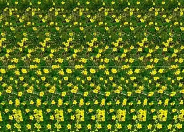 头一次看这么美的三维立体图,能看到的有福了,看不到也有诀窍_网易