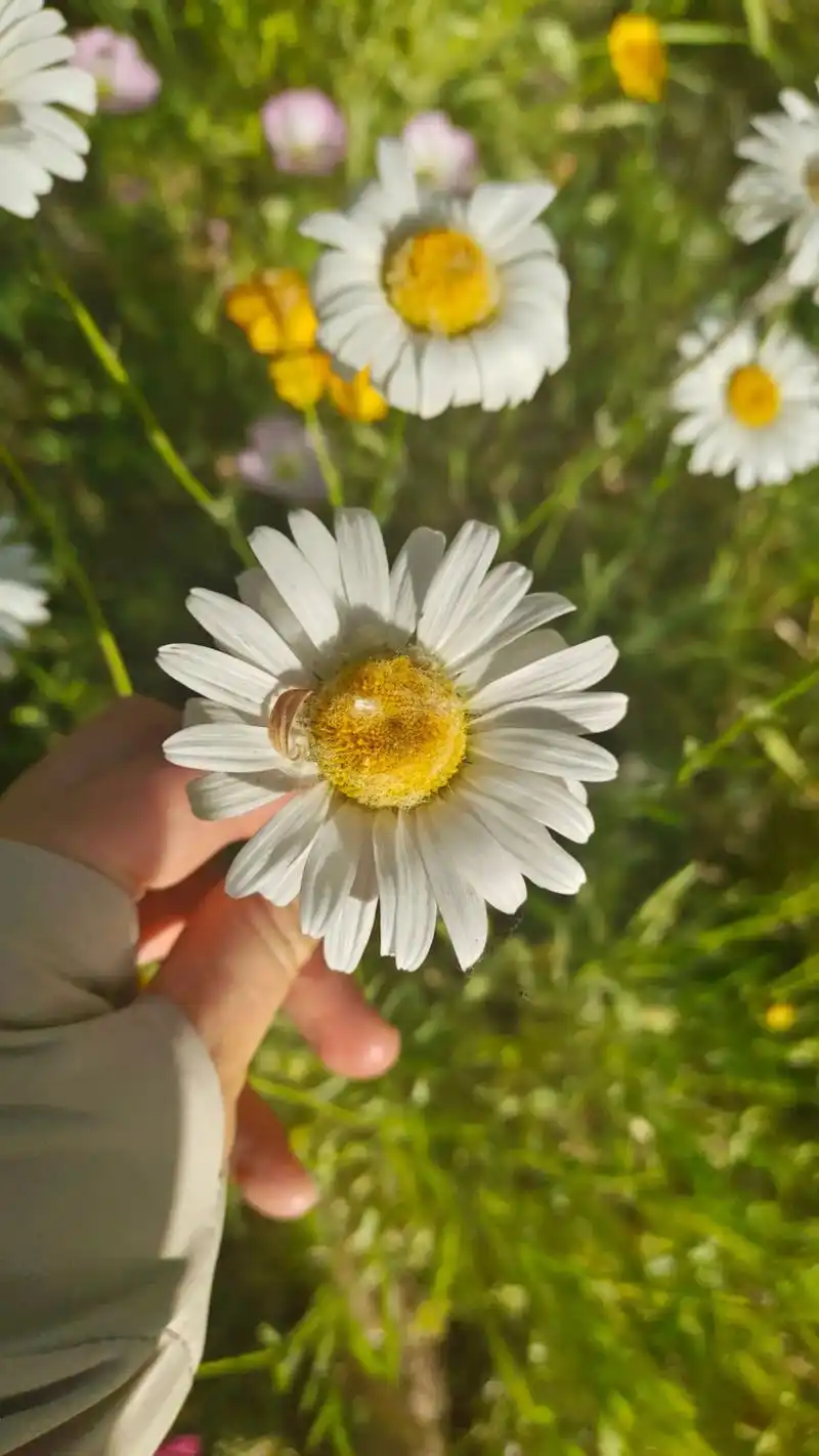 我养的人慢慢长大,养我的人渐渐变老,时间就像汹涌的浪潮,身在 - 抖音
