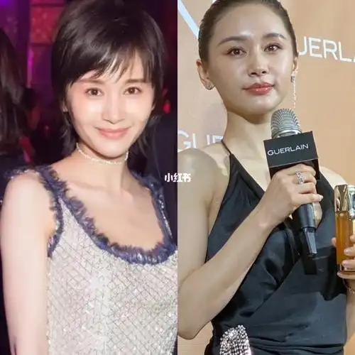 王子文填充界的天花板