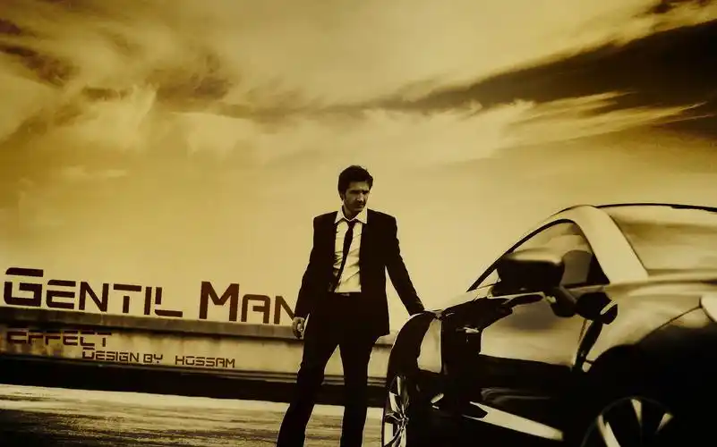 壁纸,汽车,男人,1920x1199尺寸壁纸-回车桌面