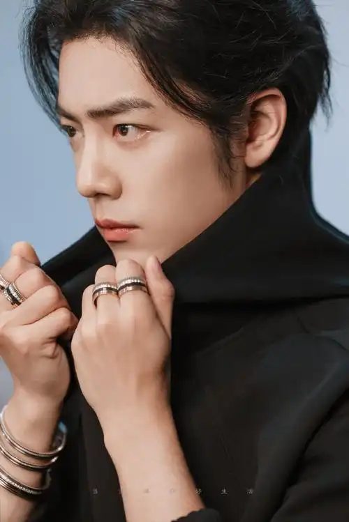 肖战长发侧颜库存##肖战